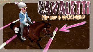 CAVALETTIS für nur 6 WOCHEN 🐴 Selle Français SPECIAL GANGART  Star Stable SSO [upl. by Sessilu]