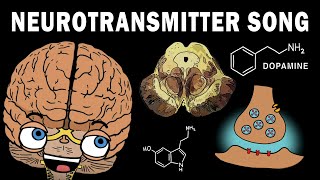 THE NEUROTRANSMITTER SONG [upl. by Terle862]