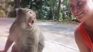 Damn Nature You Crazy  Insane Animal Fails [upl. by Aicelaf876]