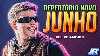 Felipe Amorim  Repertório Novo  Junho 2024  São João 2024  Músicas Novas [upl. by Natrav]