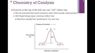 036Chemistry of Catalysis [upl. by Eachelle]