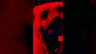 Creepypasta Smile Dog shorts youtubeshorts creepypasta miedo paranormal [upl. by Lau]