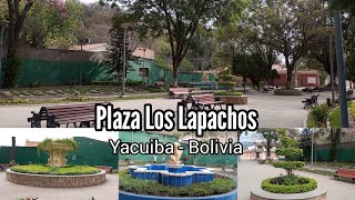 Plaza Los Lapachos  Yacuiba Bolivia [upl. by Atnim]