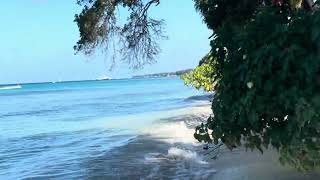 Fitts Village near Holetown Barbados idyllic Paradise secluded Beach walk along [upl. by Onateyac]