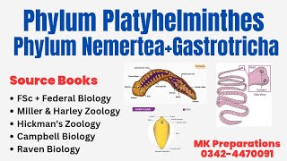 Phylum Platyhelminthes Flatworms General Characteristics amp Classification  Kingdom Animalia [upl. by Juta304]