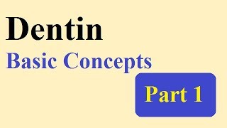 Dentin part 1 BASIC CONCEPTS [upl. by Aimo]