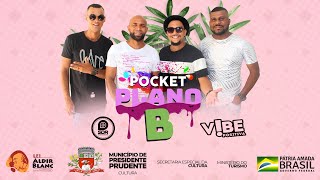 Domingando Thiaguinho COVER Pocket Show Plano B Grupo Vibe Positiva [upl. by Kriste]