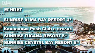 Sunrise Alma Bay Resort 4 и обзор концепции Posh Club в отелях Sunrise Египет [upl. by Katharina797]