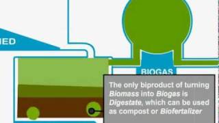 Biomass Gasification [upl. by Chev]