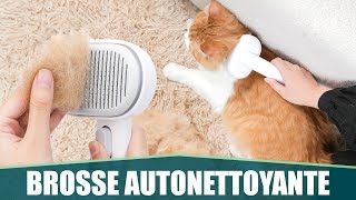 LA MEILLEURE BROSSE POUR POILS DE CHAT amp CHIEN  Aumuca [upl. by Verbenia]