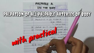 Palpation of all palpable Arteries of Body [upl. by Ahsiekyt]