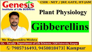 Gibberellins  Plant Hormone CSIR NETJRF  Life science  GATE DBT [upl. by Onitsuj]