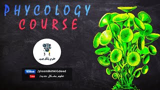 محاضرات كورس علم الطحالب Phycology محاضرة 1 Definition and Morphological structure [upl. by Lenej106]