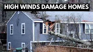 01102024 Marshfield MA  Large Tree Crashes Through Home  Powerful Winter Storm [upl. by Eboh]