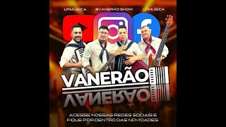 Baile ao vivo  1 hora de vaneira  Grupo Vanerão [upl. by Blanka]