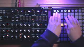 Dark House Performance ft Novation Peak Launchpad [upl. by Ljoka75]