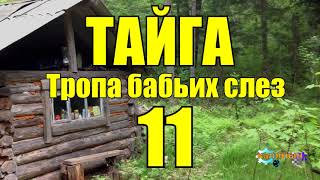 ОТШЕЛЬНИКИ  ЖИЗНЬ В ТАЙГЕ 11 из 16 [upl. by Anitahs23]