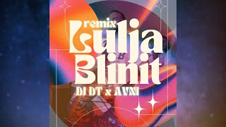 DJ DT x AVNI  Lulja Blinit Remix [upl. by Seltzer]