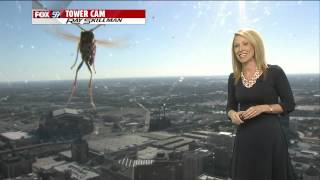 Bee attacks Meteorologist Jennifer Ketchmark during weather forecast [upl. by Sammie]