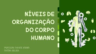 Níveis de organização do corpo humano  Células Tecidos Órgãos Sistemas e Organismo [upl. by Attayek]