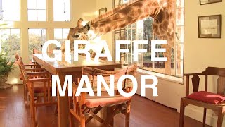 KENYA GIRAFFE MANOR [upl. by Nine]