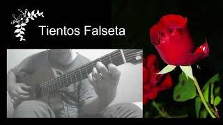 Tientos Flamenco Guitar Falseta  ティエントス ファルセータ [upl. by Norraa]