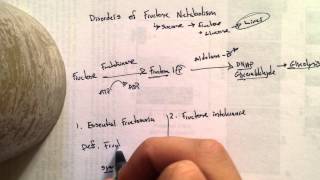 Disorders of Fructose Metabolism [upl. by Minica]