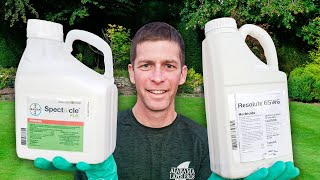 Whats the Best Pre Emergent Herbicide for Lawns [upl. by Lein]