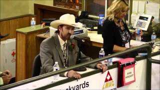 The Best Auctioneer  Rhett Parks [upl. by Nilram]