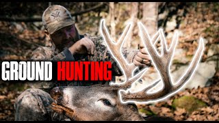 WHITETAIL HUNTING FROM THE GROUND  Spot and Stalk Bowhunting [upl. by Barncard]