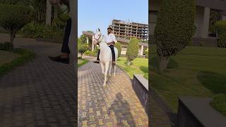 Bitless Horse riding video Punit bhai Bhadani  9979219750 [upl. by Yuzik]