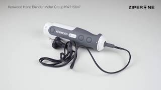 Kenwood Hand Blender Motor Group KW715647 [upl. by Renzo]