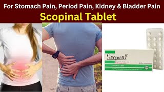 Scopinal Tablet how to use  scopinal tablet uses hyoscine butylbromide tablets 10mg uses [upl. by Katheryn]