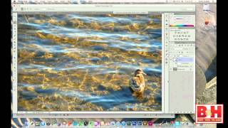 An Introduction to Photoshop CS6  Learning the Basics of Photo Manipulation [upl. by Donovan]