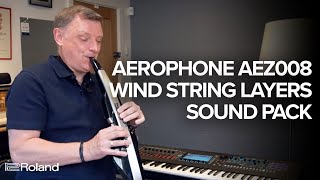 Roland Aerophone AEZ008 Wind String Layers by Matt Traum Sound Examples [upl. by Schlessinger394]