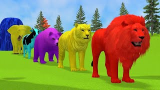 Long Slide Game With Elephant Gorilla Buffalo Hippopotamus Tiger  3d Animal Game  Funny 3d Animals [upl. by Alroi]