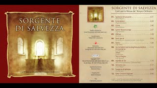 Alleluia  Sorgente di salvezza RnS [upl. by Einor]