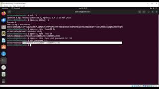 Passwords with OpenSSL [upl. by Wade231]