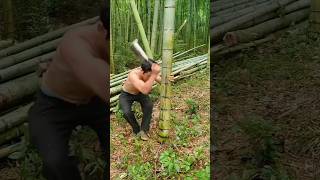 It takes 10 knives to cut down a bamboo tree [upl. by Seline]