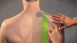 PerformTex Tape How To Tape for Shoulder Support 2 [upl. by Ulu]