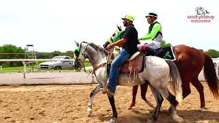 HEAT 6 FUTURITY MILLONARIO 300 YDS [upl. by Huba]