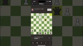 Chesscom Bullet Checkmates Upload 28 chess [upl. by Aldos]