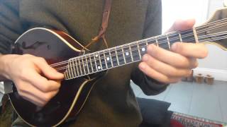 St Annes Reel With Tabs  Mandolin Lesson [upl. by Ihsoyim394]