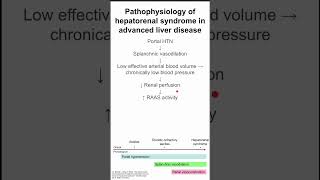 Pathophysiology of hepatorenal syndrome in advanced liver disease [upl. by Iline]