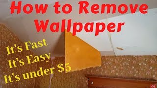 Removing Wallpaper With Water and Vinegar [upl. by Kreiner]