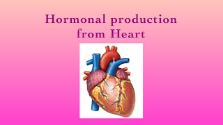 ENDOCRINE SYSTEMHormonal production from HeartPart13 [upl. by Nelle409]