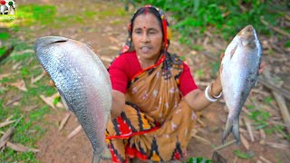 জোড়া ইলিশের পোলাও রান্না  Ilish Polao recipe  village traditional hilsha fish recipe  villfood [upl. by Lemmie883]