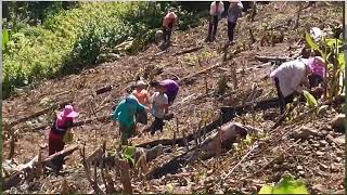 Noiduanan Molohing  Hain Jasli Dusun Song Sabahan [upl. by Gilpin]