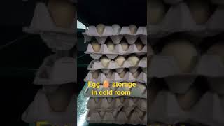 Egg storage in cold room [upl. by Ailecra]