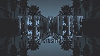 Ice Cube  So Sensitive  Lyric Video [upl. by Osman]